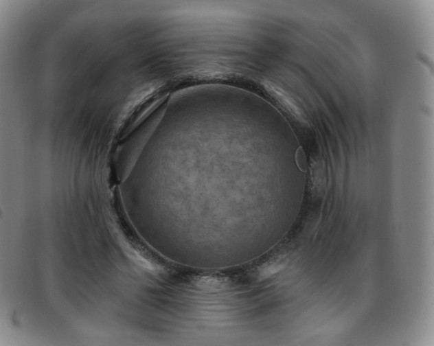 X0000097770494200803141748