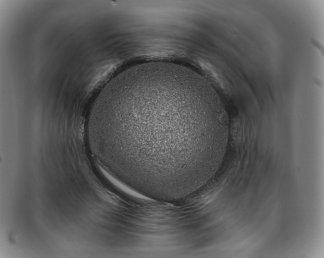 X0000097770495200803141748