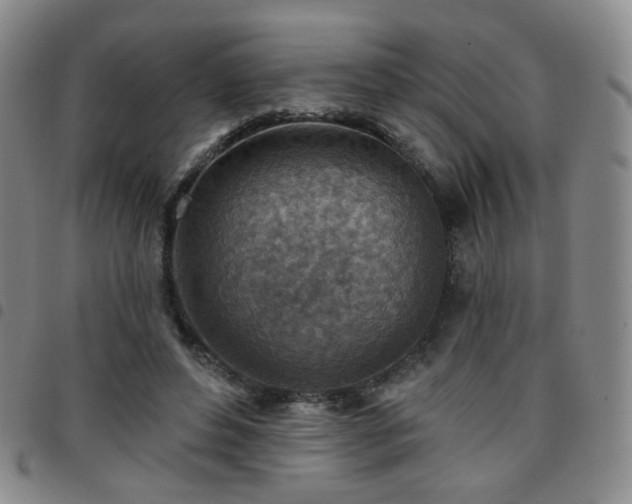 X0000097770496200803141748