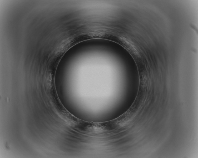 X0000097770498200803141748