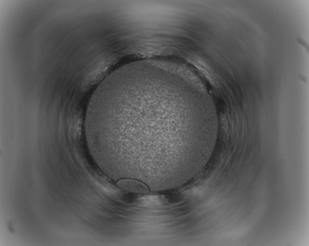 X0000097770499200803141748
