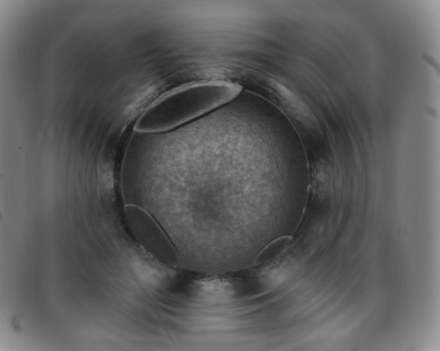 X0000097770500200803141748