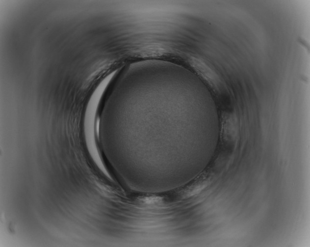 X0000097770501200803141748