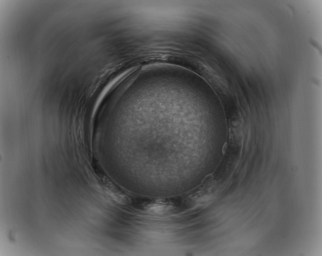 X0000097770504200803141748