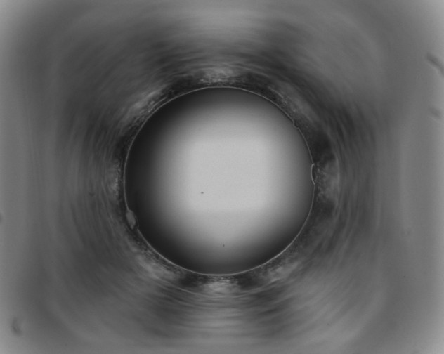 X0000097770505200803141748