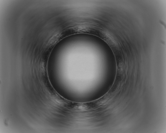 X0000097770506200803141748