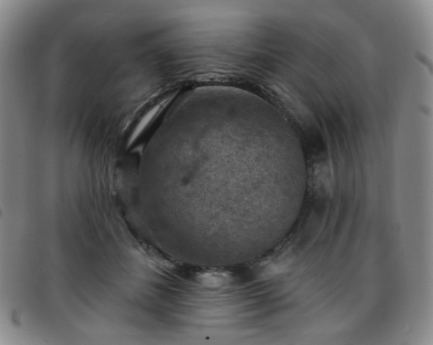 X0000097770508200803141748