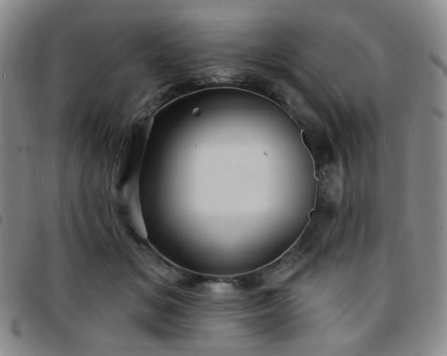 X0000097770509200803141748