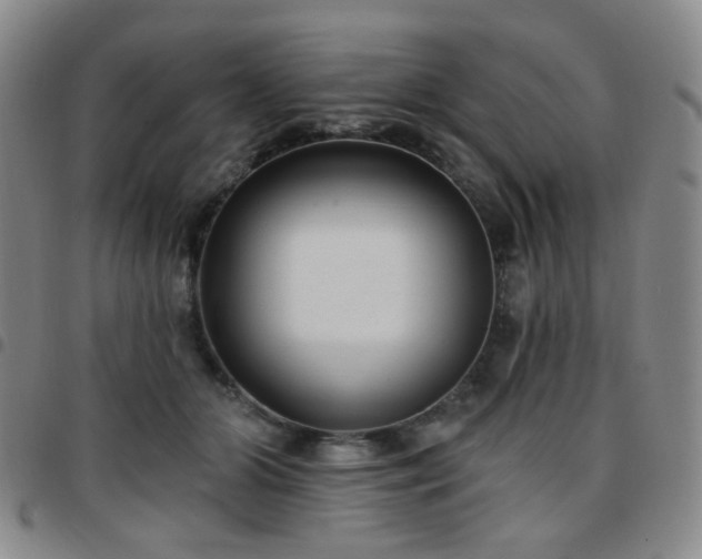 X0000097770510200803141748