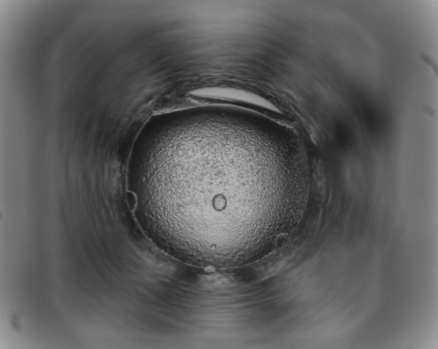 X0000097770511200803141748