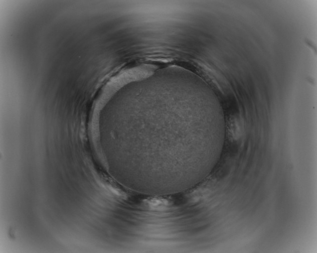 X0000097770512200803141748
