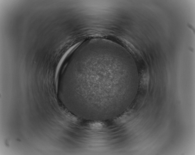 X0000097770513200803141748
