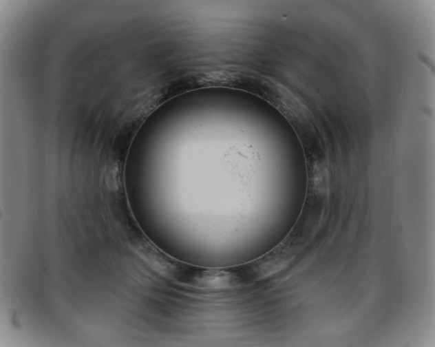 X0000097770514200803141748