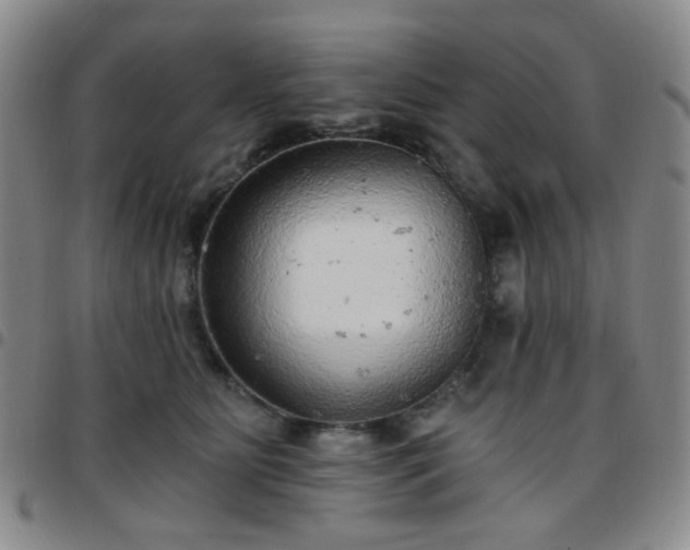 X0000097770515200803141748