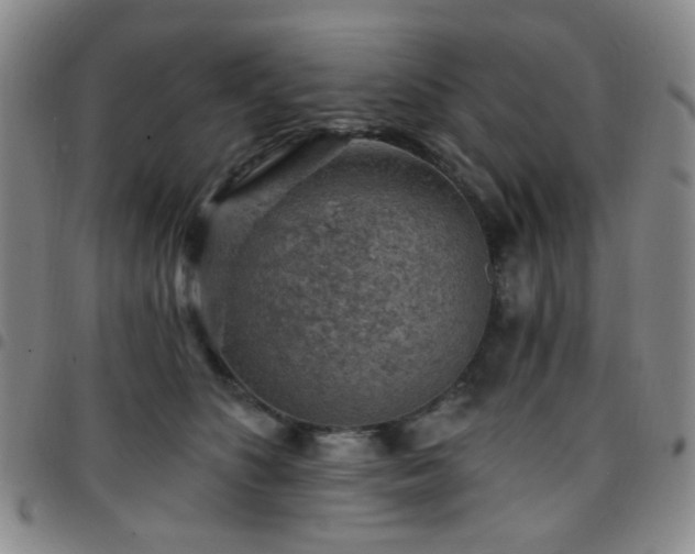 X0000097770516200803141748