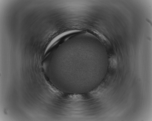 X0000097770517200803141748
