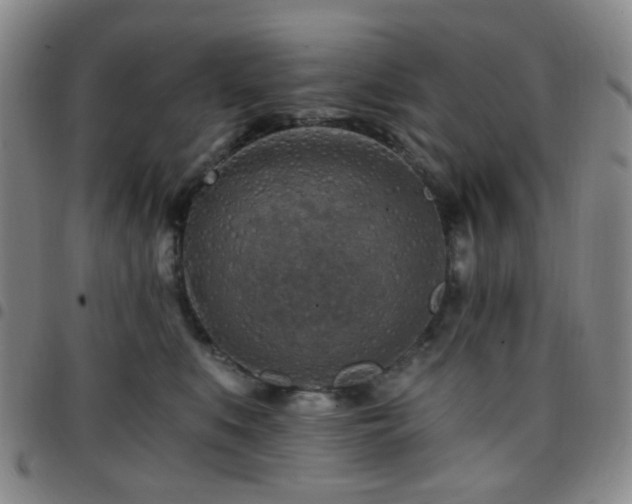 X0000097770519200803141748