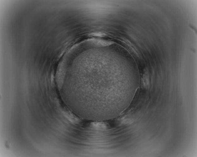 X0000097770520200803141748
