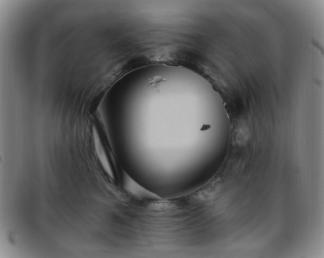 X0000097770521200803141748