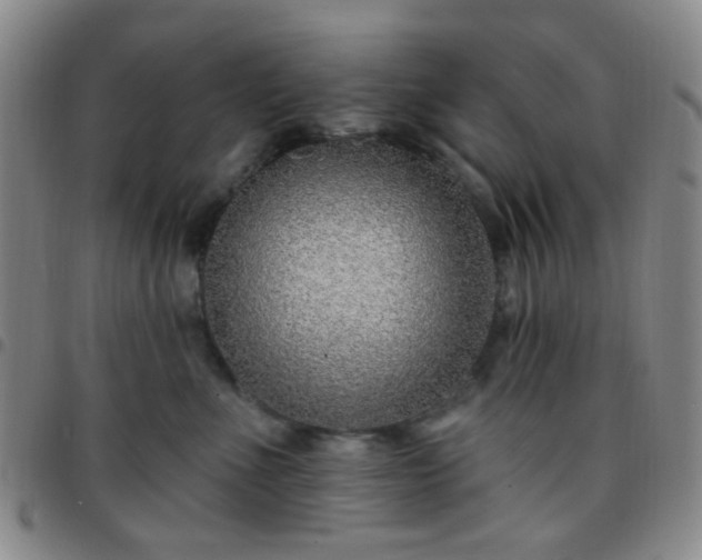 X0000097770523200803141748