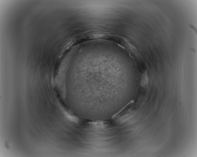 X0000097770524200803141748