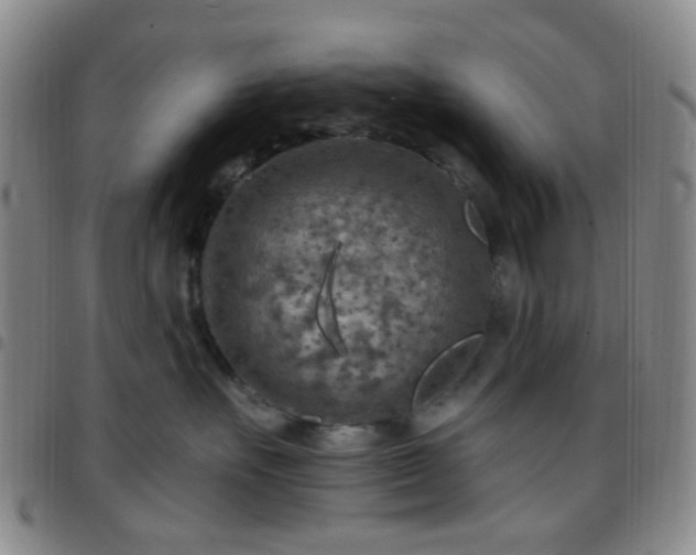 X0000097770527200803141748