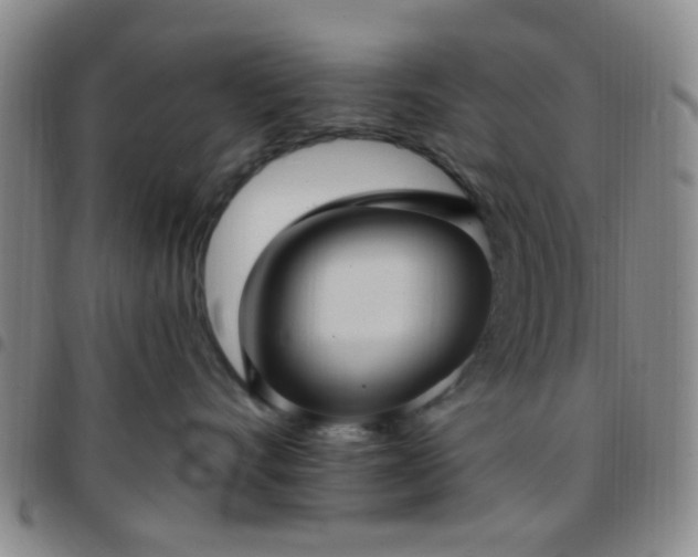X0000097770528200803141748