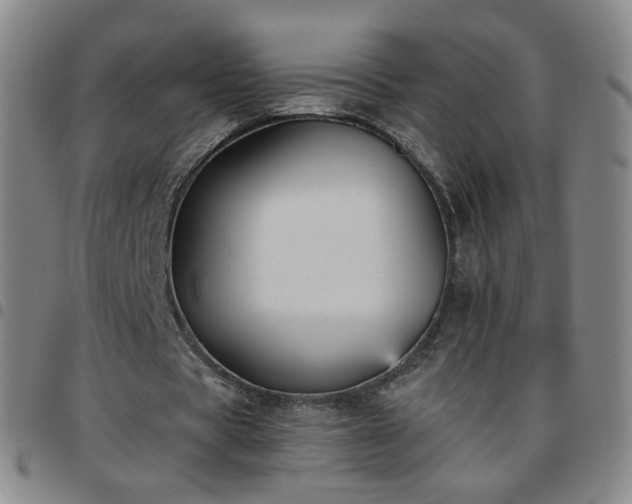 X0000097770529200803141747