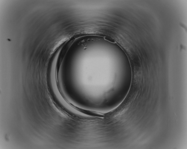 X0000097770530200803141747