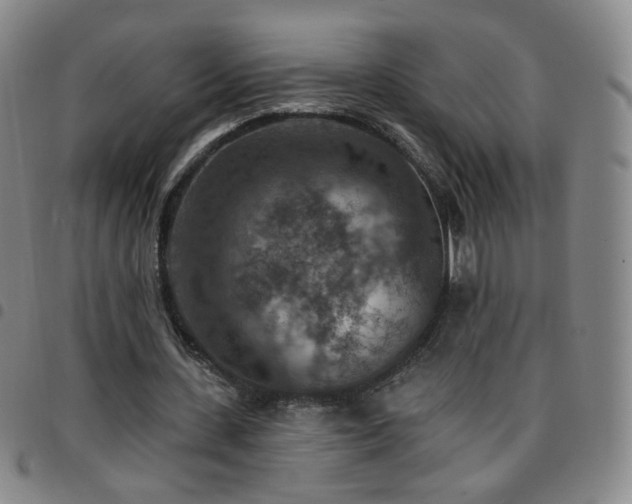 X0000097770531200803141747
