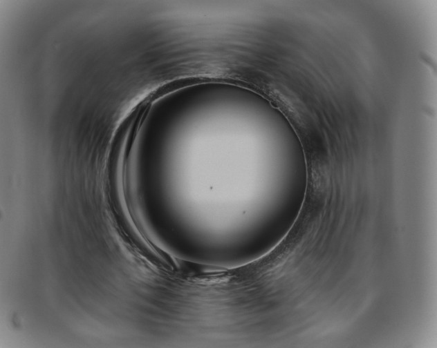 X0000097770532200803141747