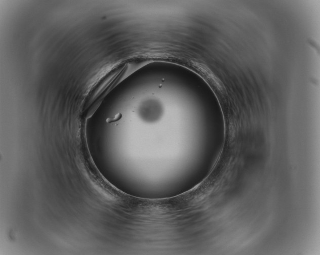 X0000097770533200803141747