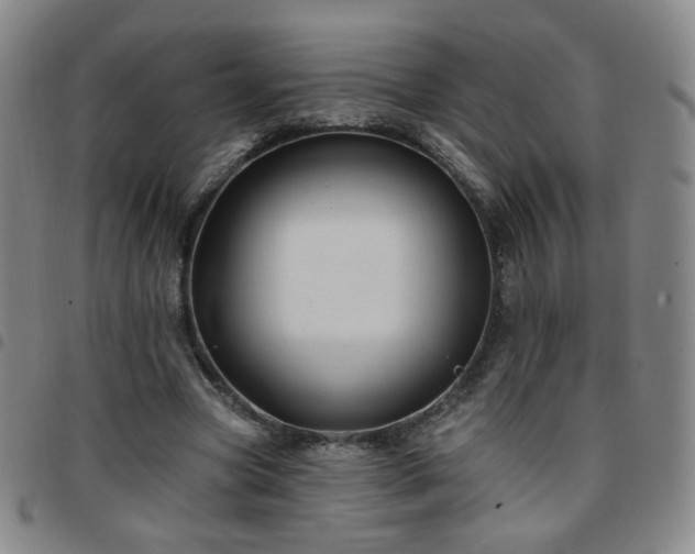 X0000097770537200803141747