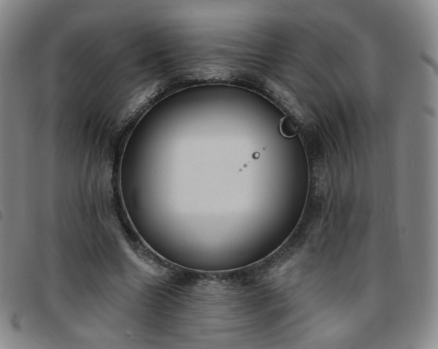 X0000097770538200803141747