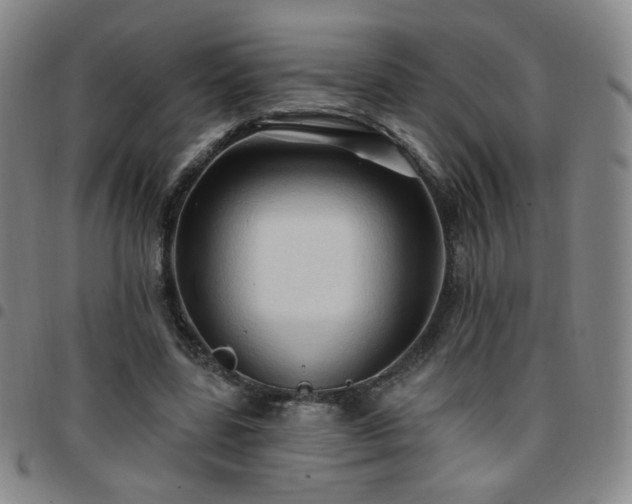 X0000097770539200803141747