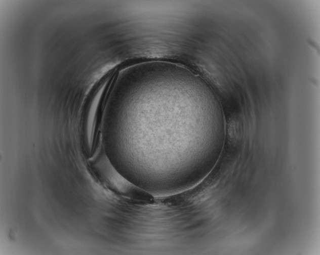 X0000097770540200803141747