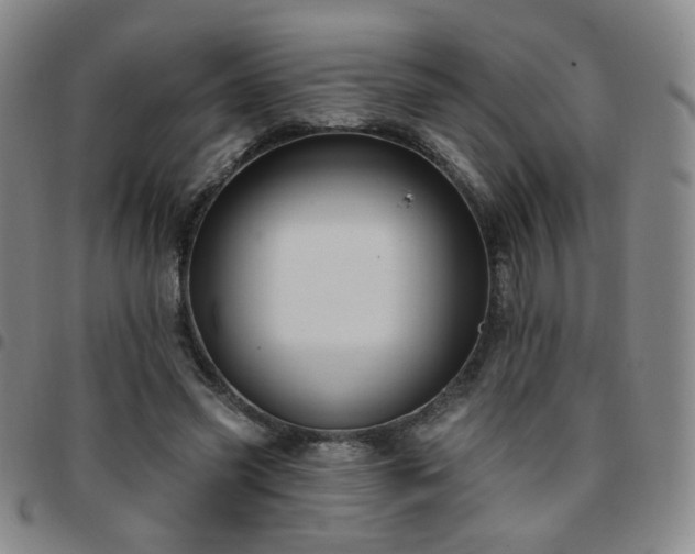 X0000097770541200803141747