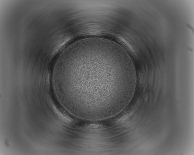 X0000097770542200803141747