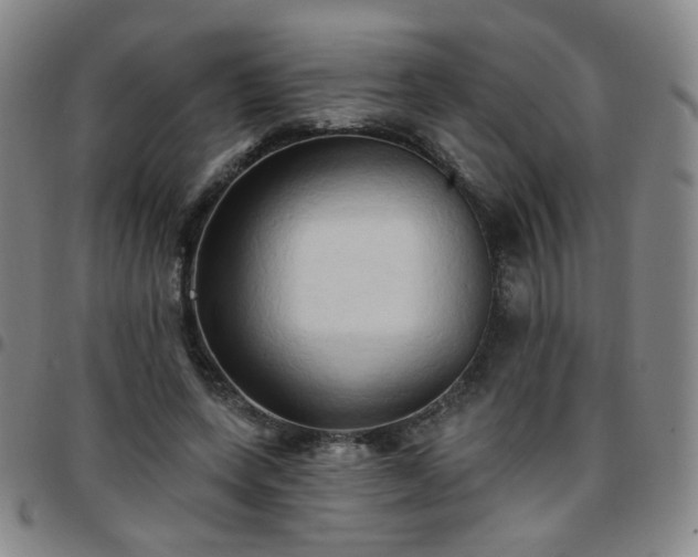 X0000097770543200803141747