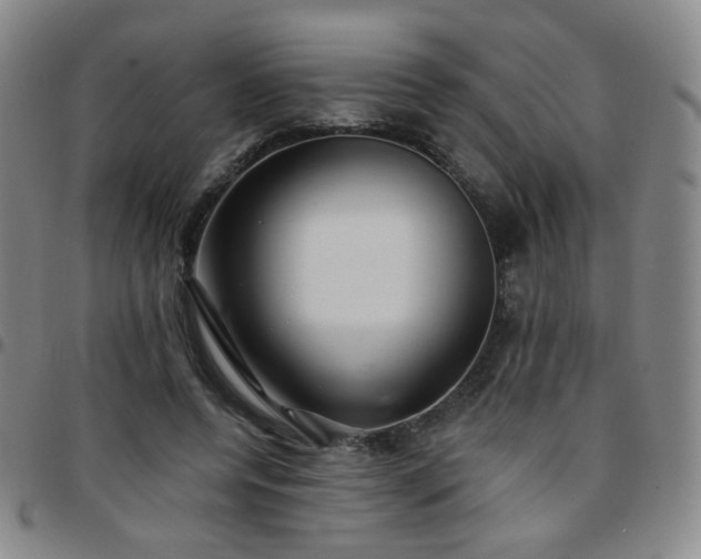 X0000097770544200803141747