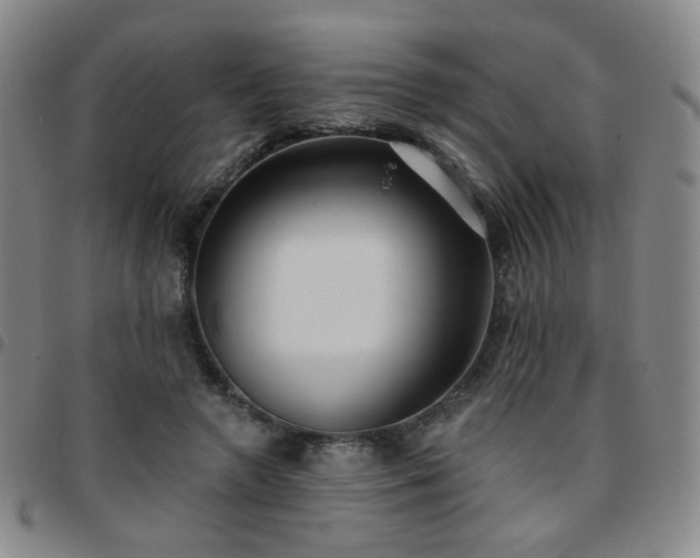 X0000097770546200803141747