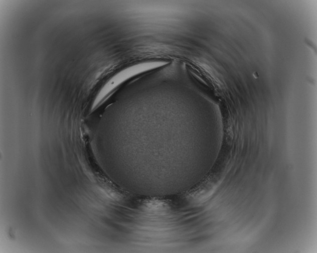 X0000097770547200803141747