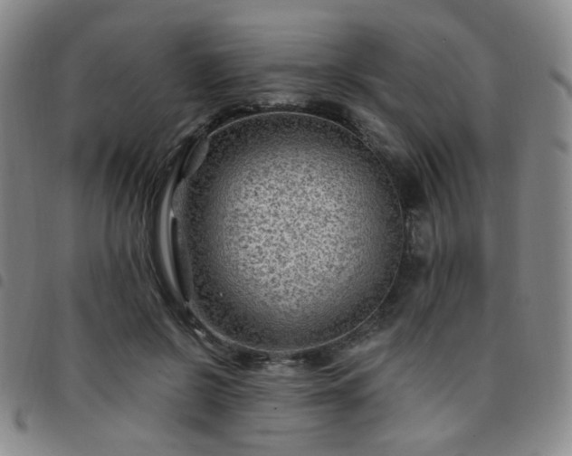 X0000097770550200803141747