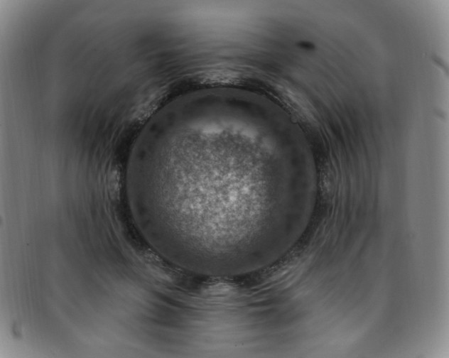 X0000097770551200803141747