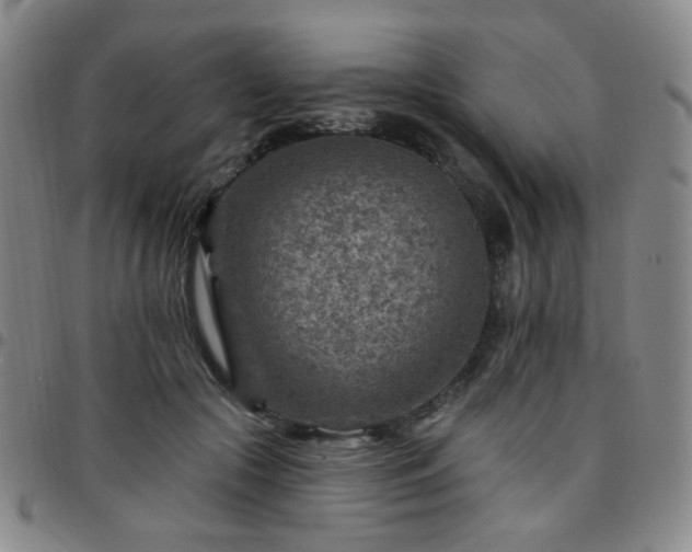 X0000097770553200803141747