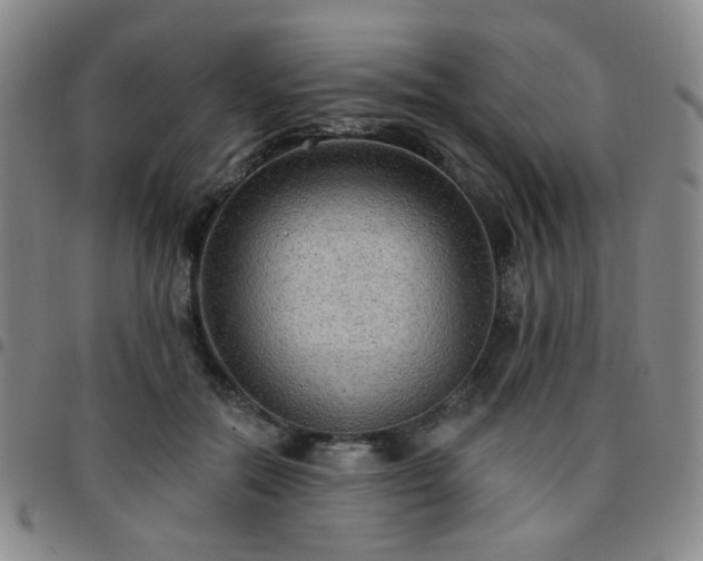 X0000097770554200803141747