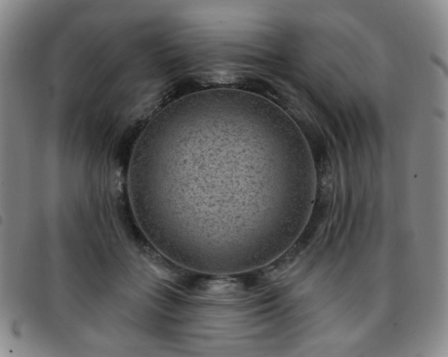 X0000097770555200803141747
