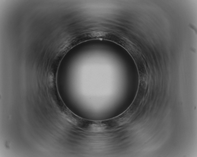 X0000097770556200803141747