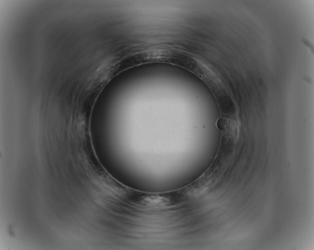 X0000097770557200803141747
