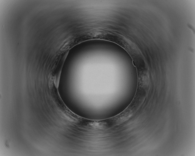 X0000097770558200803141748